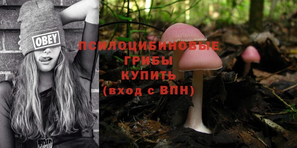 амф Аркадак