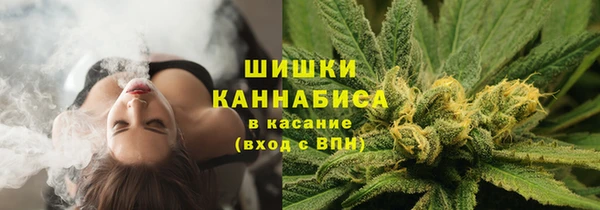 амф Аркадак